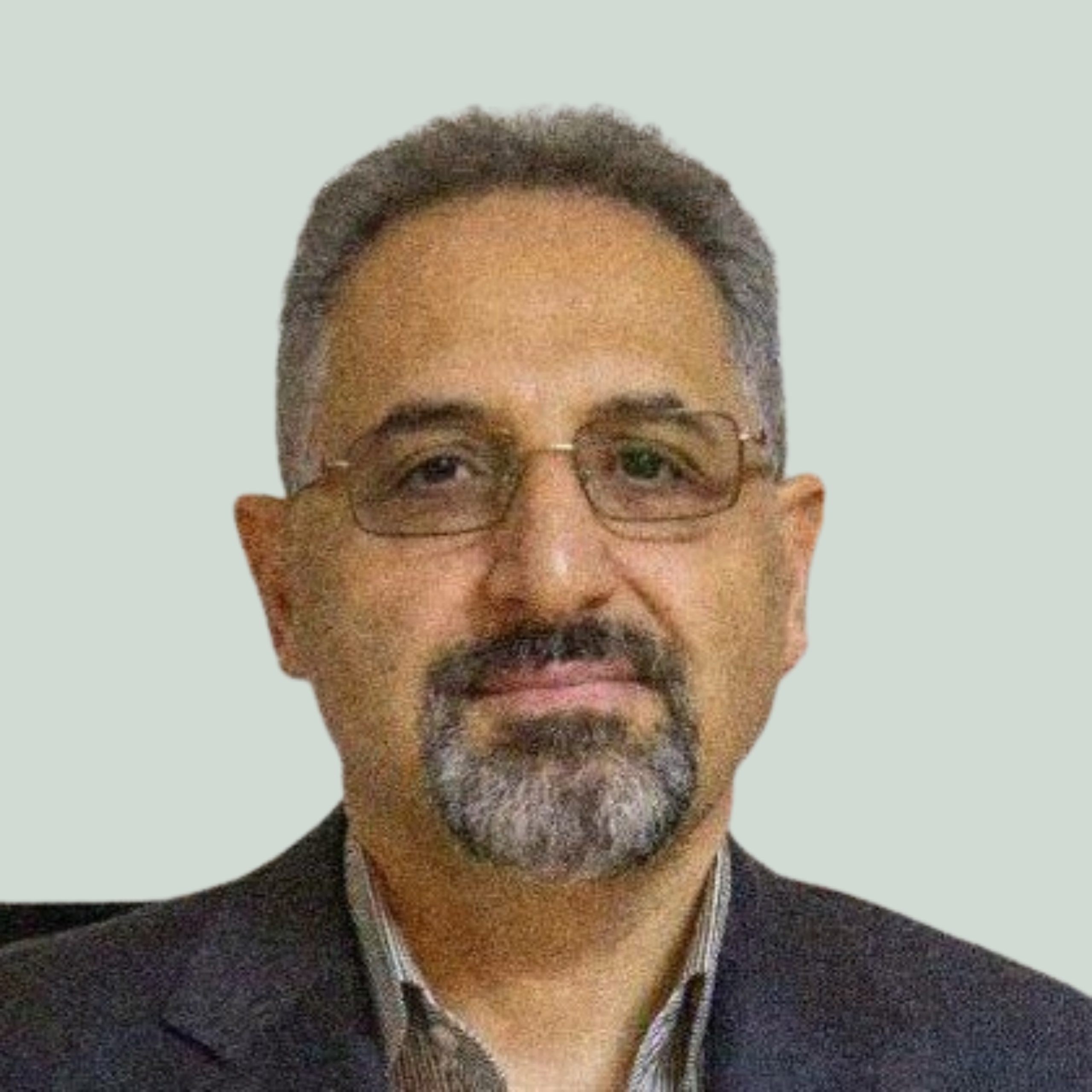 محمدحسن امامی