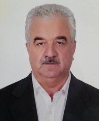 حسین صالحی