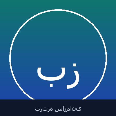 بابک محمد زاده