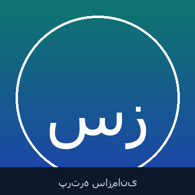 سید امین صیقل زنان