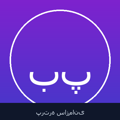 بابک هاشمی پور